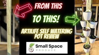 Artilife Self Watering Pot Review