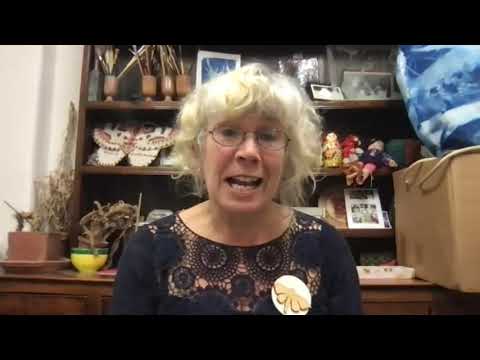 Watch Moths the Finale! Our last Watch Moths event - November 2021