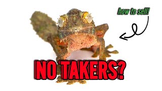 STRUGGLING To SELL Your REPTILES? Try These 3 Tips!