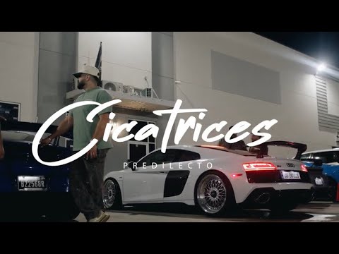Cicatrices- Predilecto