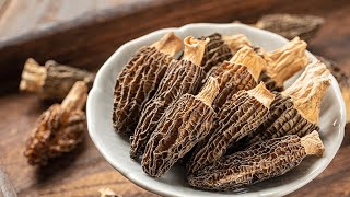 El camino hacia la prosperidad: Las granjas privadas disparan el negocio de las setas morillas