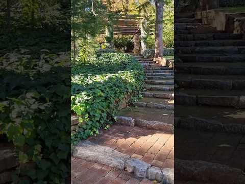 Old Swimming Pool & Poolside Pergola #nature #heritage #shorts