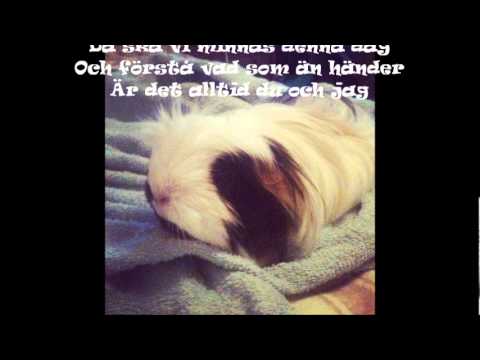 Du är allt - Shirley Clamp(LYRICS)