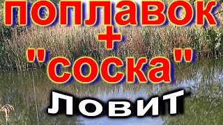 Снасть пробка с пружиной