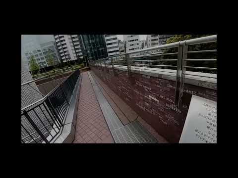 i actually have no idea who the fuck this is