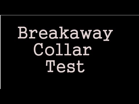 Breakaway Pet Collars Test