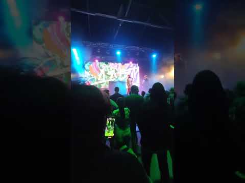 Длб live - Катка