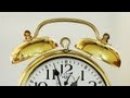 What Does Daylight Savings Time Save? - YouTube
