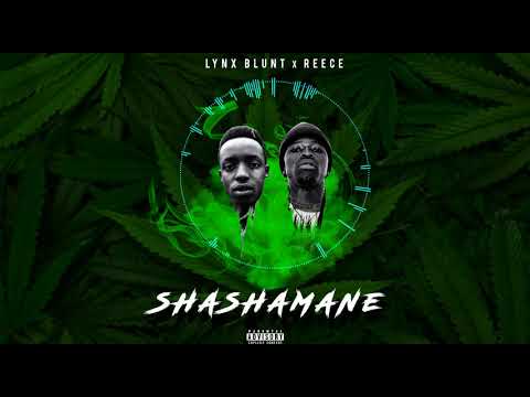 LYNX BLUNT x REECE - Shashamane