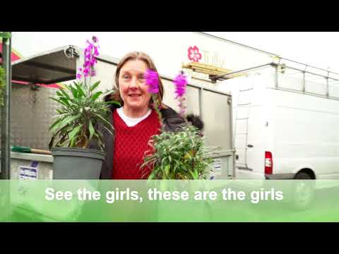 Supergarden Episode 2 - Teaser