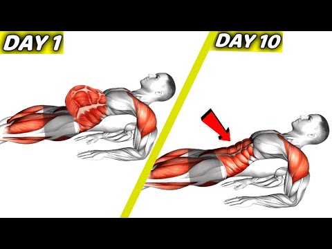 5 Min Different Plank to Lose Belly Fat and Get 6 Pack Abs