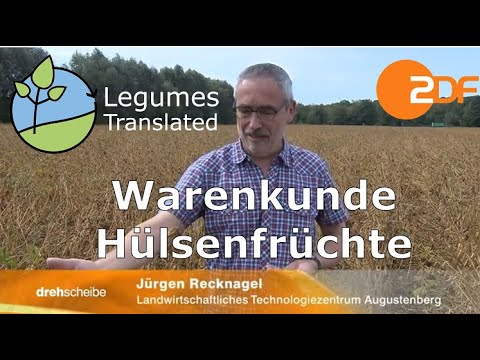 ZDF - hub for information on pulses