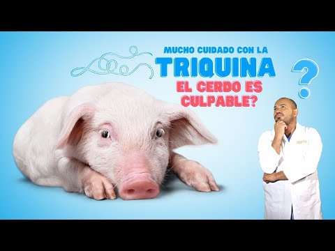 , title : 'Cuidado con la Triquina  o Taenia Solium! aquí todo lo que necesita sobre dicho parásito'