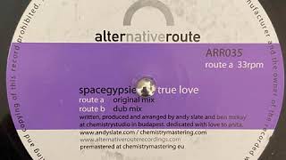 Spacegypsies - True Love (Original Mix)