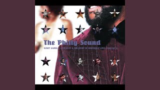 Am I Black Enough for You?