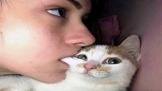 FUNNY CAT MEMES COMPILATION OF 2022 PART 60