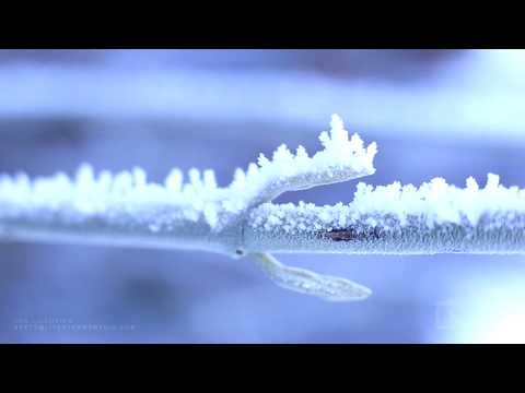 12-14-2019 Rapid City, SD - Freezing Fog Drone Shots