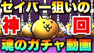 【神回】セイバー狙いの魂のガチャ動画　#にゃんこ大戦争　【オレンジチャンネル】