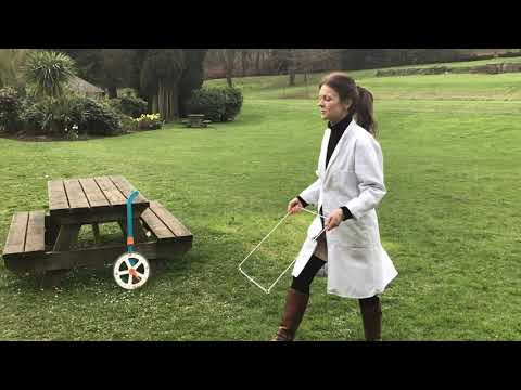 Sampling with quadrats