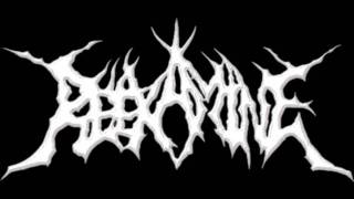 Reexamine - For Victory ( Bolt Thrower cover )