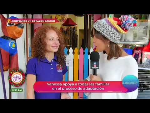 ¡Ana Alicia visitó el albergue 'Adoptando un corazón canino'! | Sale el Sol