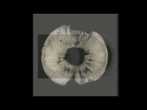 New Risen Throne & Corona Barathri - Birth of a New Disciple III (for Cyclic Law's 20th Anniversary)