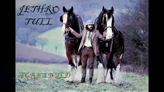 Acres Wild - Jethro Tull [1978]