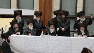 טיש פורים בביאלה תשפה