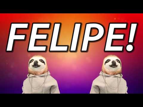 HAPPY BIRTHDAY FELIPE! - SLOTH HAPPY BIRTHDAY RAP