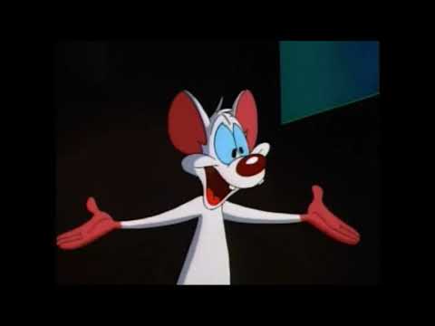 The Same Thing We Do Every Night Pinky. Die - Pinky And The Brain
