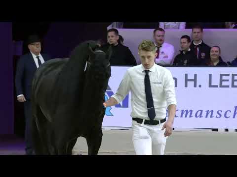 HK 2026 – Rubriek 4 – Keuring van de ingeschreven stamboekhengsten goedgekeurd vanaf dekseizoen 2020, 2021 en 2022