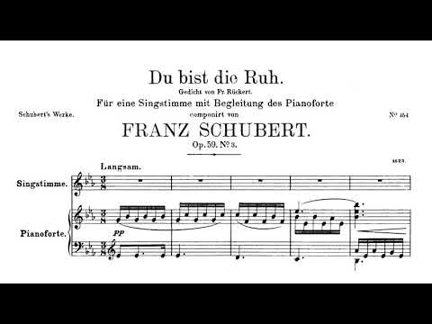 Schubert: Du bist die Ruh (Barbara Bonney)