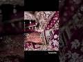 Muslim Wedding Muslim Nikaah Nikah Sadi Viral Video