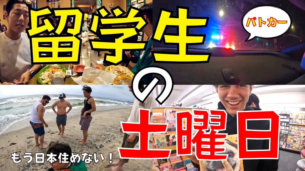 【留学Vlog#64】留学生の週末！遂に警察？