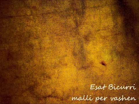 Esat Bicurri - Malli per vashen
