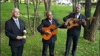 Video de TRIO CLÁSICO LATINO