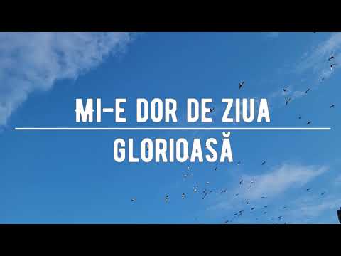 Mie- dor de ziua glorioasă (Interpretarea)