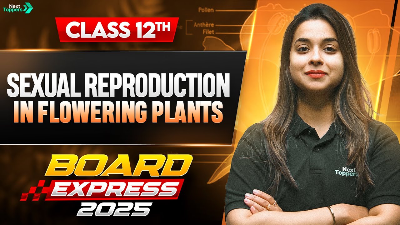 Sexual Reproduction in Flowering Plants in 35 Mins | Class 12th Biology Chapter Imp Questions