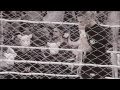 WWE Extreme Rules 2014 : John Cena vs Bray Wyatt (Steel Cage Match) Promo