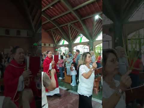 Domingo de ramos , las lomas, entrada del Señor, Envigado Antioquia