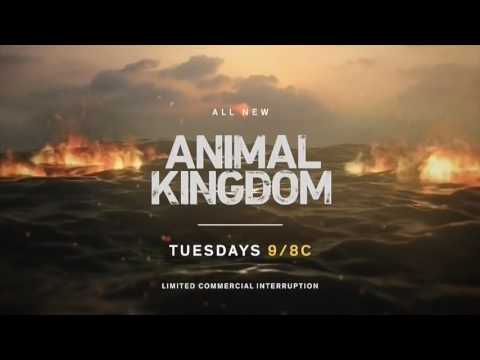 ANIMAL KINGDOM 2x07 - DIG
