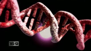 16x9 - DNA Prophecies: Code reveals your future