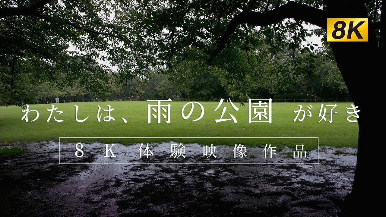 ［8K］わたしは、雨の公園 が好き