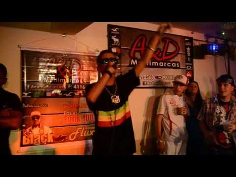 MC FELIPE DO VAZ - AO VIVO mansão do fluxo - DJ FELIPE SP - WILL FERREIRA - 2014