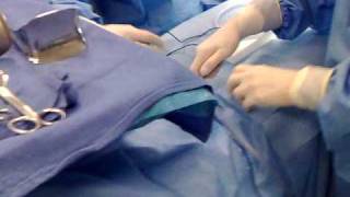 c section part 2 instruments setup