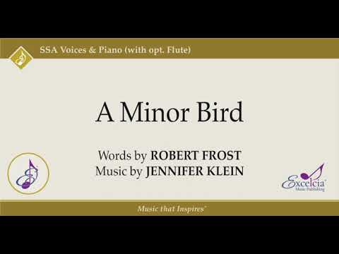 A Minor Bird Piano Performance Video
