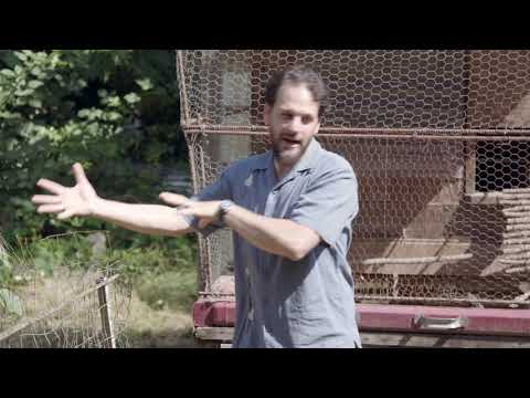 download lagu mp3 mp4 Chicken Rotation, download lagu Chicken Rotation gratis, unduh video klip Chicken Rotation