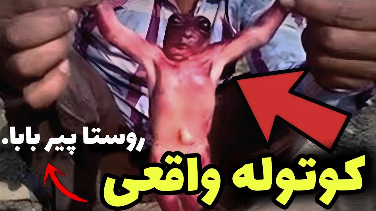 این ویدیو نباید به دست صدا سیما می افتاد 😱 پخش ویدیو تعرض اجنه به یک ساختمون ?