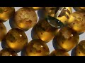 Pogo Upular Reversed