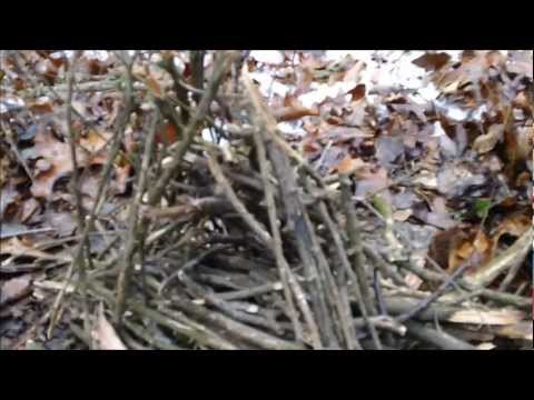 how to start a fire #13 in wet conditions